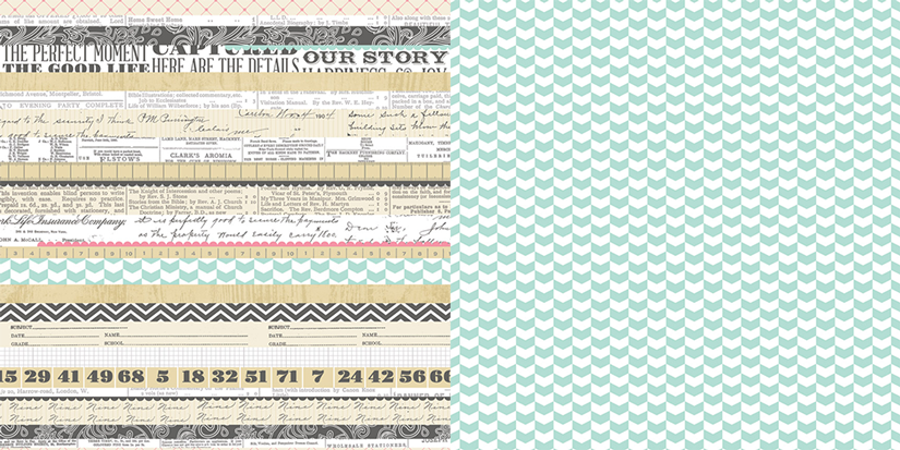 Oboustranná scrapbooková čtvrtka Family Multi Stripe, Vhodné na journaling, Project Life, k dozdobení vašich scrapbookových stránek a alb. Teresa Collins