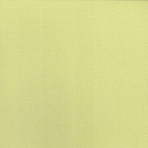 Texturovaná čtvrtka - papír na scrapbooking Basic Bledě zelený