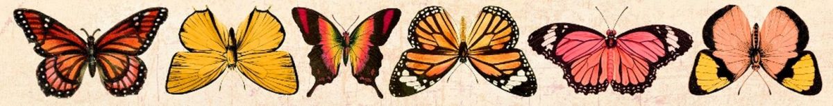 Oboustranný Papírový pásek - motýli Tropical UHK Gallery